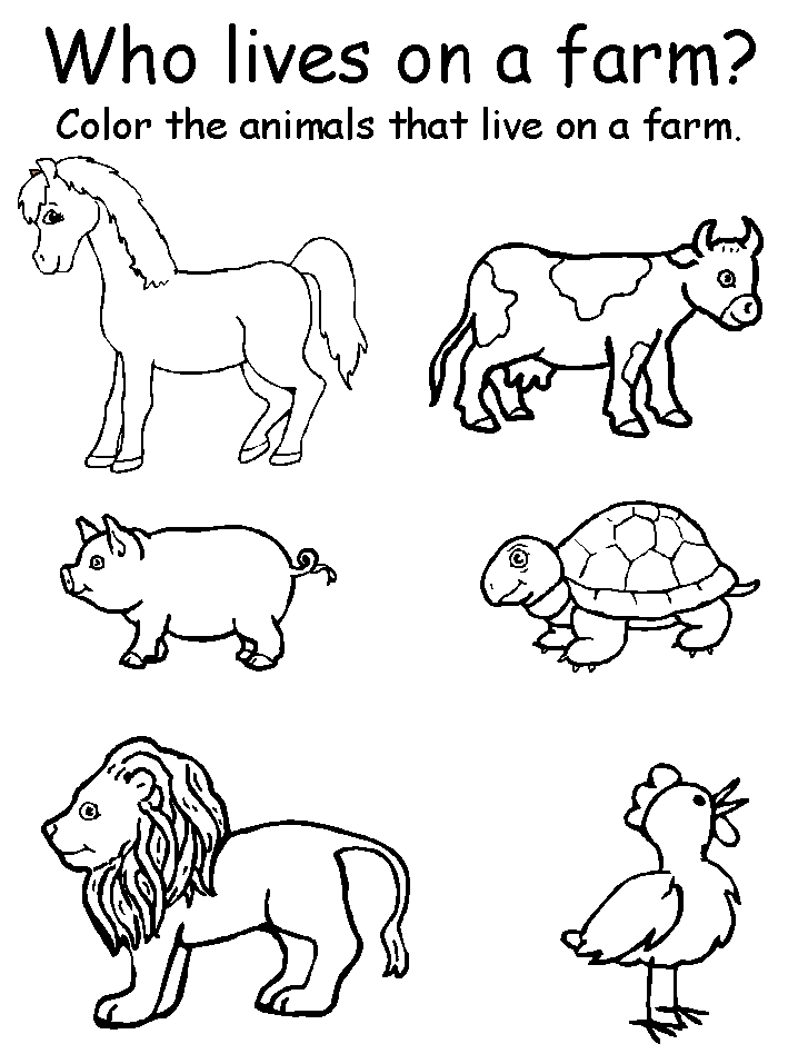 farm-animals-take-the-pentake-the-pen